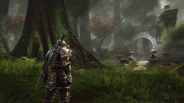 Kingdoms-of-Amalur-world